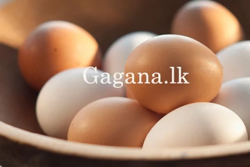 බිත්තරයක යළි ඉහළට. - නව මිල මෙන්න