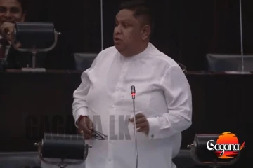 ආණ්ඩුවේ හිලක් තියෙනවා ඒක හොයලා වහගන්න අපිට චණ්ඩිකම් දාගෙන එන්න එපා