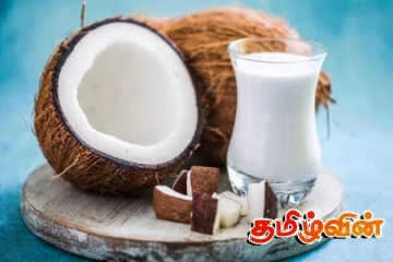 தேங்காய் இறக்குமதி தொடர்பில் எழுந்துள்ள பிரச்சினை