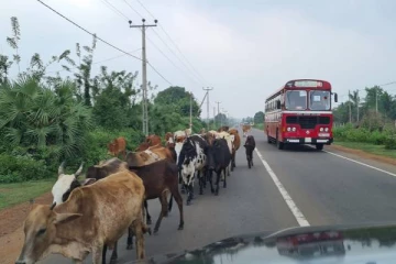 A 9 விதியில் ஏற்பட்டுள்ள அவல நிலை தொடருமா?