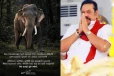 වනාන්තරයේ රජුට අවසන් ගෞරවය - මහින්ද රාජපක්ෂගේ හද සසල කළ සටහන