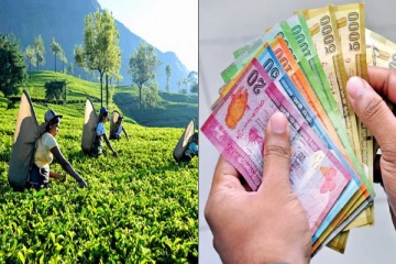 தோட்டத் தொழிலாளர்களுக்கு சம்பளமாக ஆயிரத்து 700 ரூபாய்! ஜீவன் உறுதி