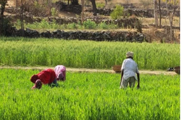 அமைச்சரின் அதிரடி தீர்மானம்! விவசாயத்துறையின் அனைத்து அதிகாரிகளுக்கும் ஏற்பட்டுள்ள சிக்கல்