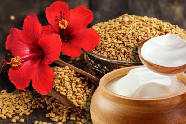 அடர்த்தியான முடி வளர்ச்சிக்கு உதவும் செம்பருத்தி பூ... இவ்வாறு பயன்படுத்துங்கள் | Hibiscus Flower Hair Pack For Thick And Long Hair