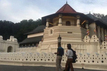 தலதா மாளிகை சென்ற பெண்; கைபையினால் கைதானார்