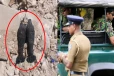 யாழில் இரண்டு மோட்டார் குண்டுகள் மீட்பு!