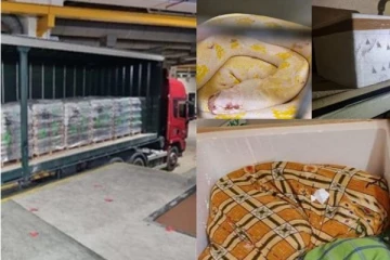 வெளிநாட்டில் லொறி ஓட்டி சென்ற தமிழர்! உள்ளே திறந்து பார்த்த பொலிசாருக்கு காத்திருந்த அதிர்ச்சி... புகைப்படங்கள்