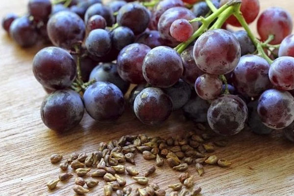 இதயத்தை பாதுகாக்க இந்த உணவுகளை உட்கொள்ளுங்கள் | Eat These Foods To Protect Your Heart