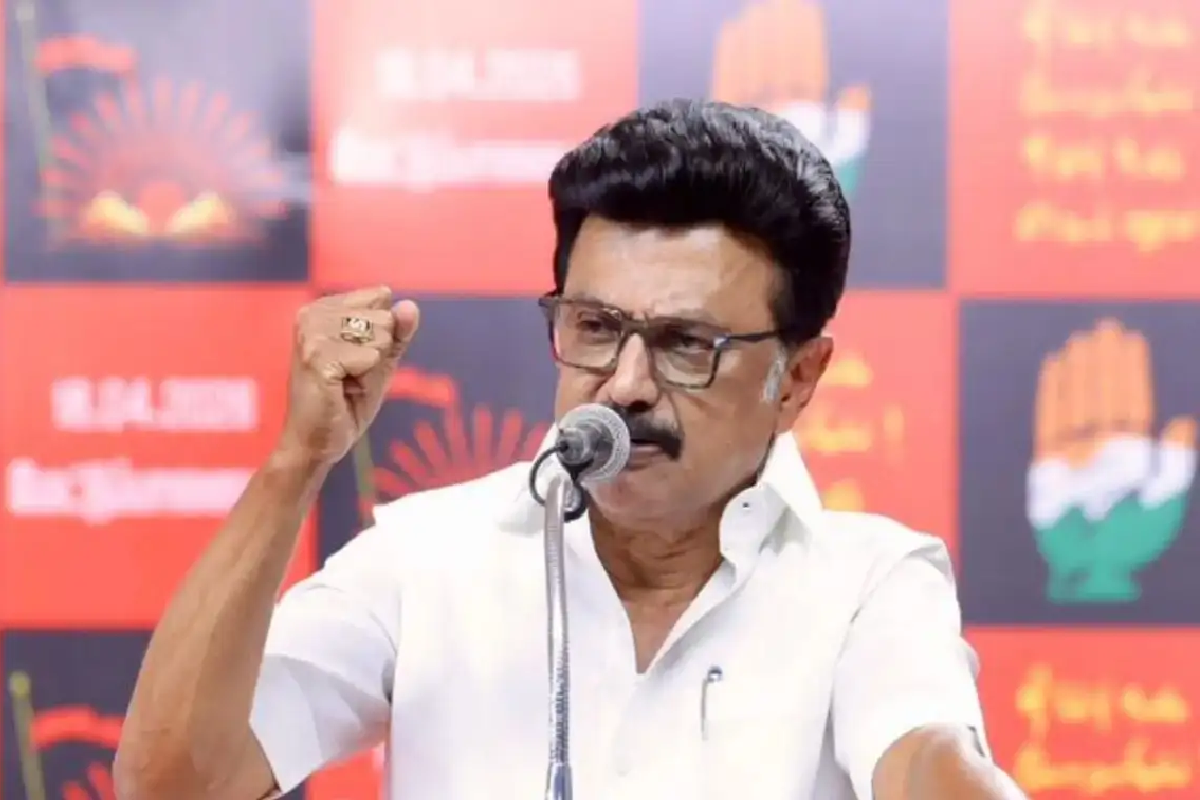 ஸ்டாலினின் தோல்வியை ஏற்காத முடியாத தீவிர தொண்டன் ; இறுதியில் செய்த விபரீதம் | Fierce Supporter Unable To Accept Stalin S Defeat