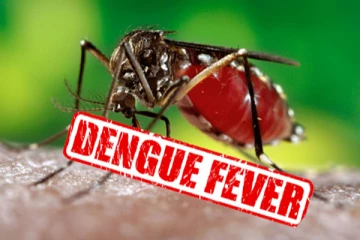 நாட்டில் டெங்கு நோயாளர்களின் எண்ணிக்கை அதிகரிப்பு