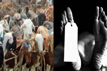 கோயில் திருவிழா - ஆட்டை வெட்டி பச்சையாக ரத்தம் குடித்த பூசாரி உயிரிழப்பு!