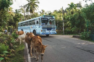 கட்டுப்பாட்டை இழந்து குடைசாய்ந்த பேருந்து; 30 பயணிகளின் நிலை என்ன?