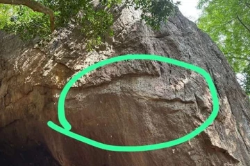 நெடுங்கேணி வெடுக்குநாறிமலை தொடர்பில் பலரும் அறியாத உண்மை