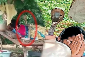 தூங்கிக் கொண்டிருந்த பெண்ணின் முதுகில் நின்று படமெடுத்த பாம்பு! பதற வைக்கும் காட்சி