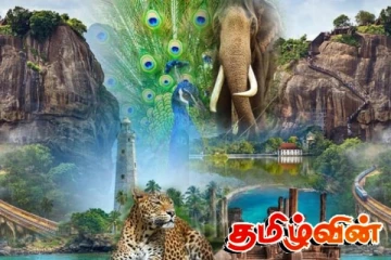 உலகில் பார்வையிட சிறந்த நாடுகளில் முன்னிலை பெற்றுள்ள இலங்கை