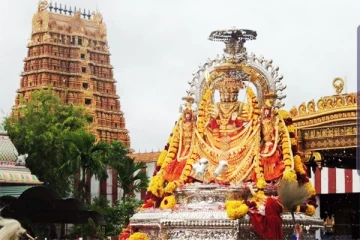 தங்க தேர் பவணியில் நல்லூர் கந்தன்(live)