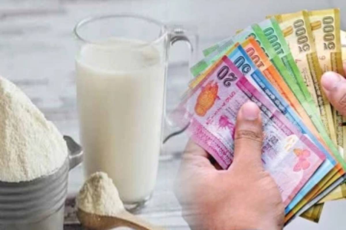 இறக்குமதி செய்யப்படும் பால் மாவின் விலை சடுதியாக அதிகரிப்பு | Increase In Price Of Milk Powder