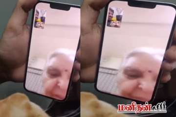 பாட்டியிடம் வீடியோ கால் பேசும் பூனை - மனம் கரைத்த காணொளி