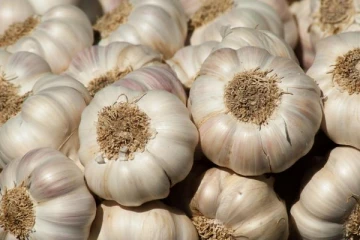 மோசடி நடந்தது உண்மையே - பகிரங்கமாக ஒப்புக்கொண்டார் அமைச்சர்
