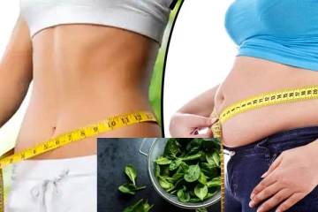 பசளிக்கீரை சாப்பிட்டால் போதும்... மின்னல் வேகத்தில் உடல் எடை குறையும்!