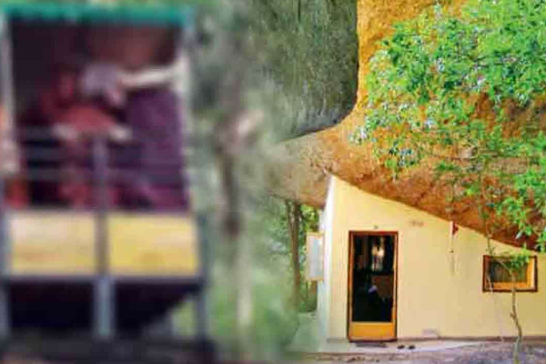 கேபிள் கார் விபத்தில் பரிதாபமாக உயிரிழந்த 7 பிக்குகள் | 7 Monks Killed In Cable Car Accident