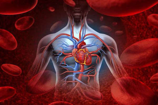 இரத்தத்திற்கு ஏன் சிவப்பு நிறம் தெரியுமா? அறிவியல் ரகசியம் | What Is The Reason Why Blood Is Red இரத்தத்திற்கு ஏன் சிவப்பு நிறம் தெரியுமா? அறிவியல் ரகசியம் | What Is The Reason Why Blood Is Red