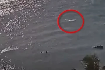 பிரெஞ்சு கடல் பகுதியில் நீந்திக்கொண்டிருந்த சுற்றுலாப்பயணி: மக்கள் கண் முன்னே நிகழ்ந்த பயங்கரம்