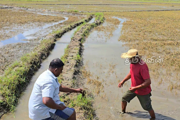 திருகோணமலை விவசாயிகளுக்கு 1,001 மில்லியன் ரூபா நஷ்ட ஈடு வழங்கிவைப்பு | 1001 Million As Compensation To Farmers
