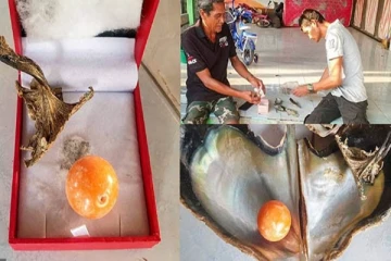 கனவில் வந்த தெய்வம்? சொன்ன வார்த்தை... கடற்கரை சென்ற ஏழை மீனவனுக்கு கிடைத்த கோடி ரூபாய் அதிர்ஷ்டம்