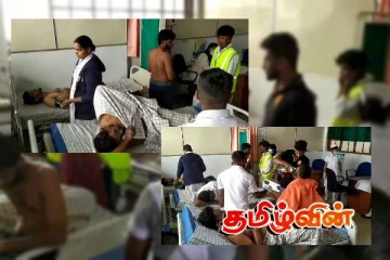 குளவி கொட்டுக்கு இலக்கான பல்கலைக்கழக மாணவர்கள்! வைத்தியசாலையில் அனுமதி