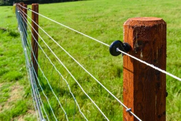 விலங்குகளுக்கு வைத்த மின்சார வேலியில் சிக்கி பரிதாபமாக உயிரிழந்த தம்பதியினர்