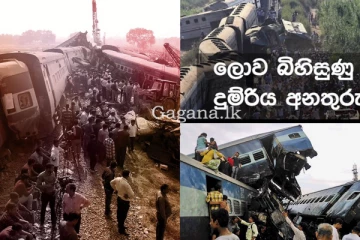 දුම්රිය මාර්ගයක් අසලින් යනවනම් ඔබ අනිවාර්යයෙන්ම හිතන්නම ඕනි දේ. - දුම්රිය අනතුරු ගැන ඇහෙන භයානකම කතාව.... (භයානක වීඩියෝ සහිතයි.)