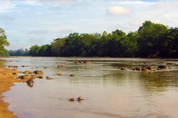 වියළි කාලගුණික තත්ත්වය හේතුවෙන් තවත් අවදානමක් ගැන අනාවරණයක්