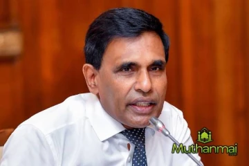 கணினி குற்றச்சாட்டுகள் தொடர்பில் அமைச்சர் வெளியிட்ட முக்கிய தகவல்