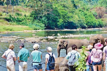 சுற்றுலாவுக்கு பாதுகாப்பான புகலிடமாக இலங்கை அறிவிப்பு