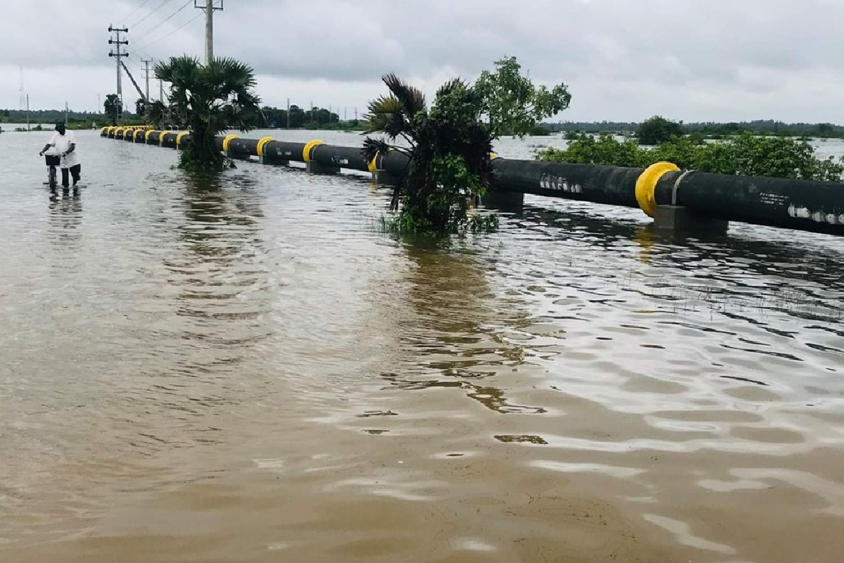 யாழ்ப்பாணம் அச்சுவேலியில் அதிகூடிய மழைவீழ்ச்சி! | Highest Rainfall Recorded In Achuveli Jaffna