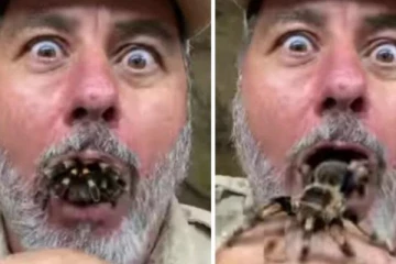 வாயில் இருந்து வெளியே வரும் பெரிய சிலந்தி! காண்போரை அச்சுறுத்தும் திகில் வீடியோ