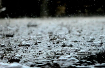 கனடாவின் இந்தப் பகுதிகளில் கனமழை ; மக்களுக்க விடுக்கப்பட்டுள்ள எச்சரிக்கை