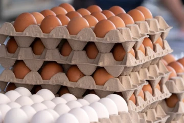 முட்டையின் விலை தொடர்பில் அதிரடி அறிவிப்பு