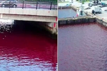 திடீரென சிவப்பு நிறமாக மாறிய ஆற்று நீர்: அதிர்ச்சியடைந்த் பொதுமக்கள்! வெளியான காரணம்