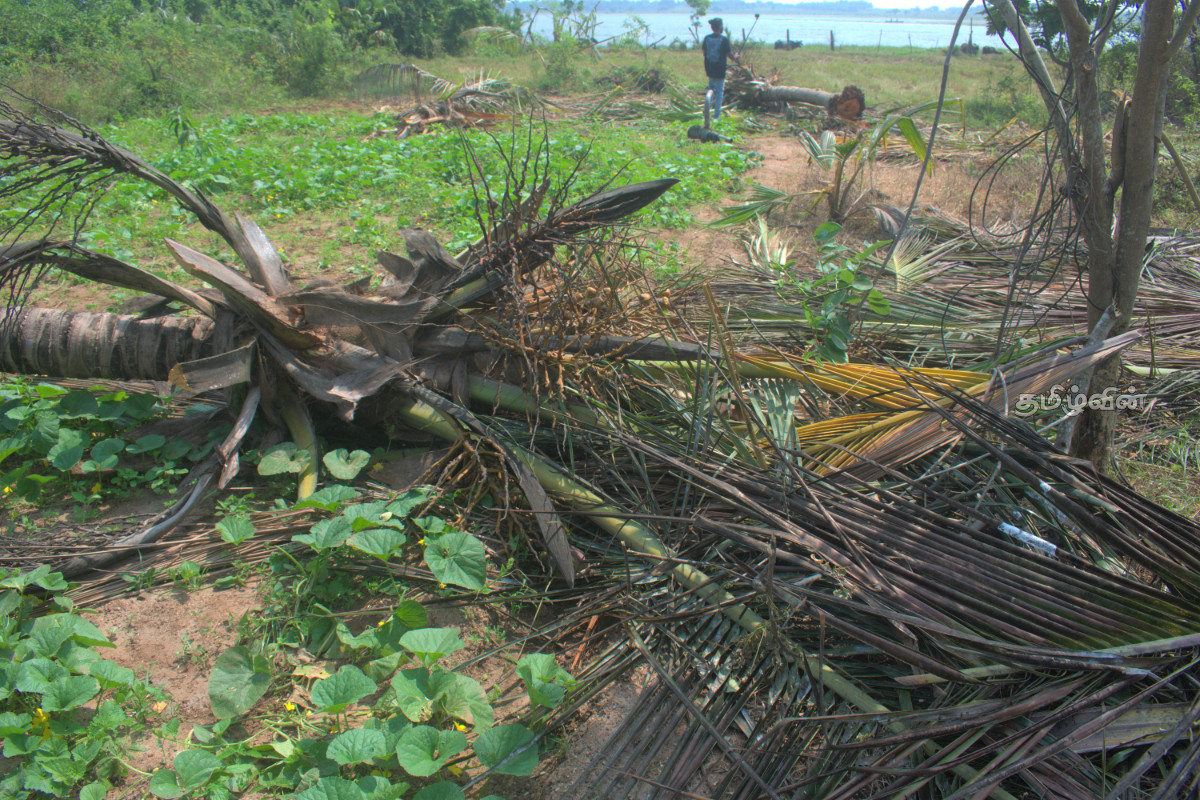 வான்எல - பனிச்சை ஆறு கிராமத்தில் காட்டு யானை அட்டகாசம் | Elephant Attack At Vanela வான்எல - பனிச்சை ஆறு கிராமத்தில் காட்டு யானை அட்டகாசம் | Elephant Attack At Vanela