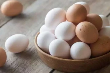 முட்டை உற்பத்தியாளர்கள் சங்கம் எடுத்துள்ள முக்கிய முடிவு!