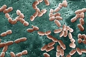 கண் சொட்டு மருந்து பயன்படுத்திய 14 பேர் பார்வையிழப்பு, 4 பேர் உயிரிழப்பு: பதறவைத்துள்ள ஒரு செய்தி