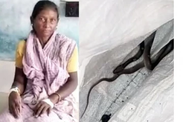 குப்பை தொட்டியில் கைவிட்ட பெண்ணை கடித்த விஷப்பாம்பு! அதை லாவகமாக பிடித்த மகன் செய்த செயல்... வாயடைக்க வைத்த சம்பவம்