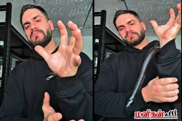 ஆடைக்குள் மெக்சிகன் கருப்பு ராஜா பாம்பு! பதறவைக்கு வைரல் காணொளி