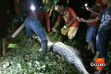 දෙයියනේ මනුස්සයෙක්ව එහෙම් පිටින්ම පිඹුරෙක් ගිලලා