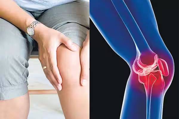 இந்த ஆரோக்கிய பிரச்சினைகள் இருக்கா? தூங்கும் முன் தொப்புளில் ஆலிவ் எண்ணெய் தடவுங்க! | Benefits Of Olive Oil Applied On Belly Button இந்த ஆரோக்கிய பிரச்சினைகள் இருக்கா? தூங்கும் முன் தொப்புளில் ஆலிவ் எண்ணெய் தடவுங்க! | Benefits Of Olive Oil Applied On Belly Button