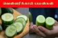 Cucumber Benefits: உடல் எடையை குறைக்க வெள்ளரிக்காய் சாப்பிடுங்கள்
