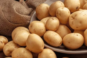 உருளைக்கிழங்கு கண்டிப்பா சாப்பிடுங்க... இந்த 5 நன்மைகள் இருக்காம்! என்னென்ன தெரியுமா?