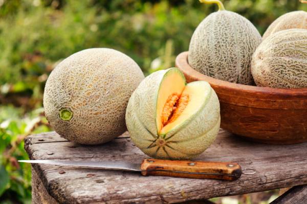 உலகின் மிகவும் ஆடம்பரமான பழம் - ஒரு பழத்தின் விலை இத்தனை ஆயிரமா? | The Most Luxurious Fruit In The World Price Detail